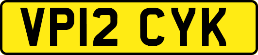 VP12CYK
