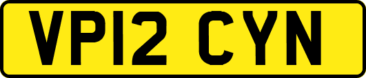 VP12CYN