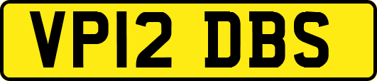 VP12DBS