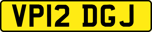 VP12DGJ