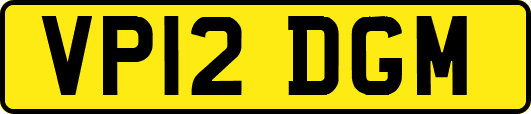 VP12DGM