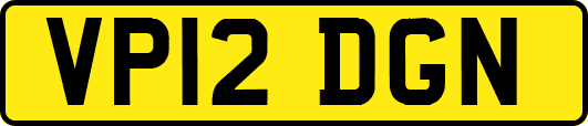 VP12DGN