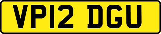 VP12DGU