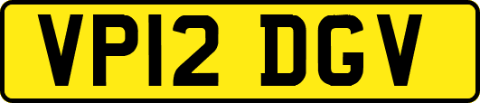VP12DGV