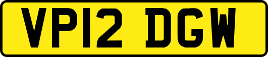 VP12DGW