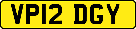 VP12DGY