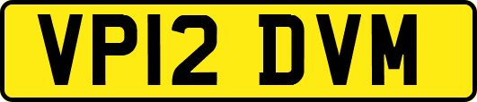 VP12DVM
