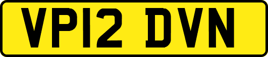 VP12DVN
