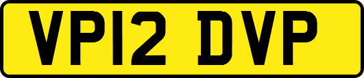 VP12DVP
