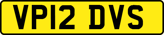 VP12DVS
