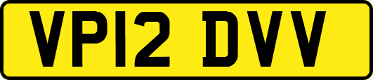 VP12DVV