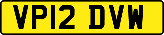 VP12DVW