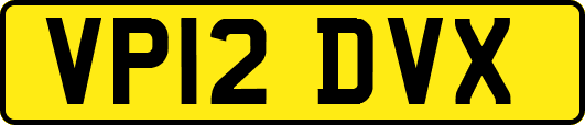VP12DVX