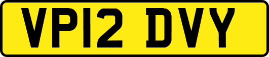 VP12DVY