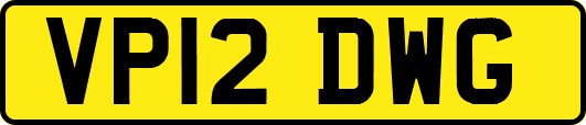 VP12DWG