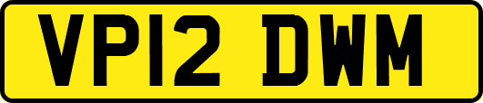 VP12DWM