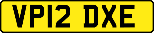 VP12DXE
