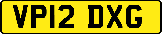 VP12DXG