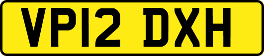 VP12DXH