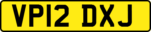 VP12DXJ