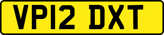 VP12DXT