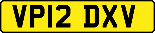 VP12DXV