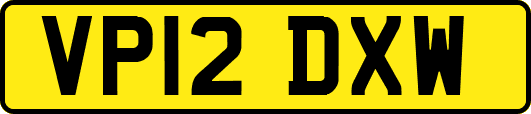 VP12DXW