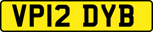 VP12DYB