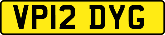 VP12DYG