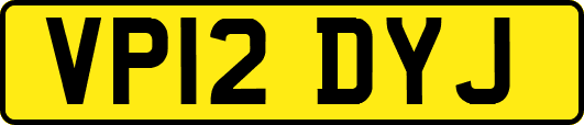 VP12DYJ