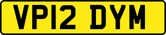 VP12DYM