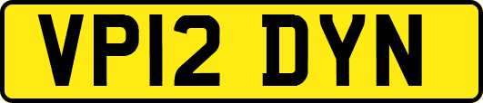 VP12DYN