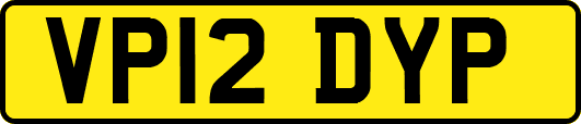 VP12DYP