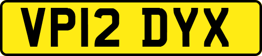 VP12DYX