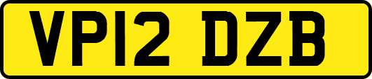 VP12DZB