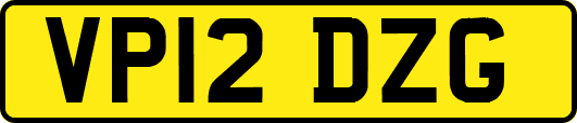 VP12DZG