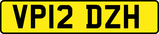 VP12DZH