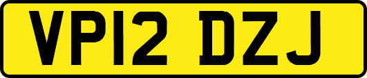 VP12DZJ