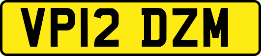 VP12DZM