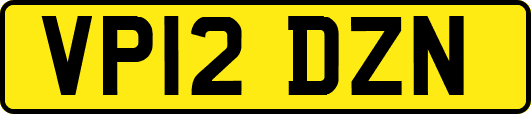 VP12DZN