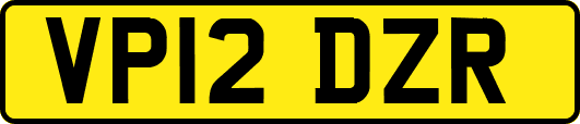 VP12DZR
