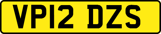 VP12DZS