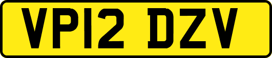 VP12DZV