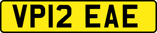 VP12EAE