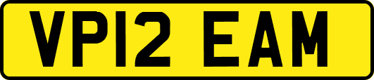 VP12EAM