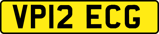 VP12ECG
