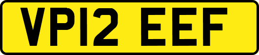 VP12EEF
