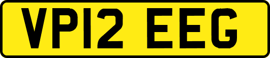 VP12EEG