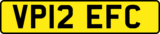VP12EFC
