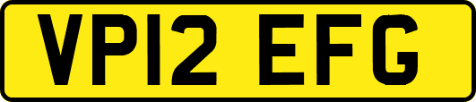 VP12EFG